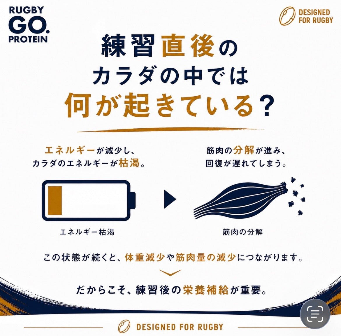 RUGBY PROTEIN　　     予約販売/27年1月発送