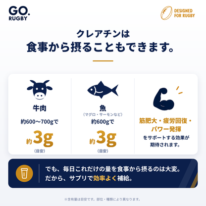 RUGBY PROTEIN　　     予約販売/27年1月発送